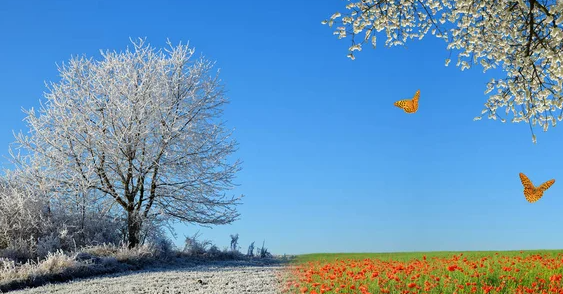 El clima y la transicion del invierno a la primavera